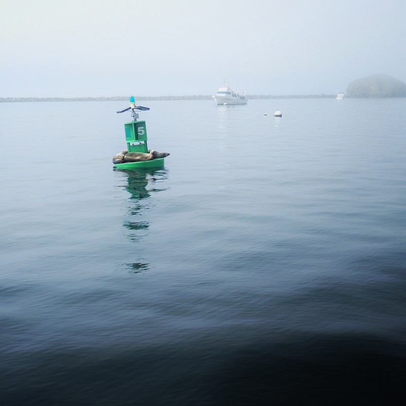 The woman behind the&nbsp;curtain