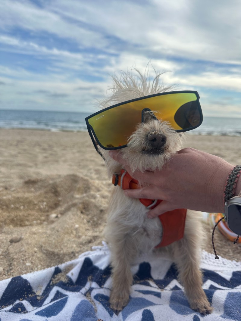 What have we&nbsp;done??