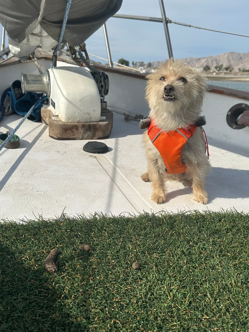 Weezy brewed a&nbsp;twosie!!